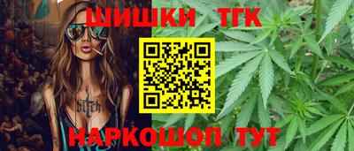 индика Тула