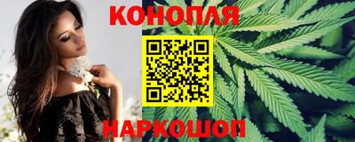 индика Тула