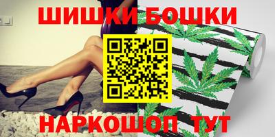 индика Тула