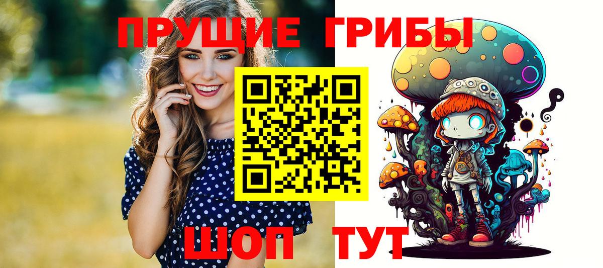Псилоцибиновые грибы GOLDEN TEACHER  Галлюциногенные грибы MAGIC MUSHROOMS  Новокубанск  Вход с VPN 